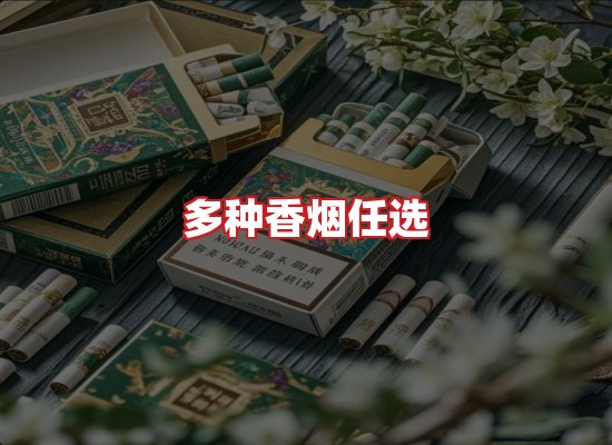 专业团队